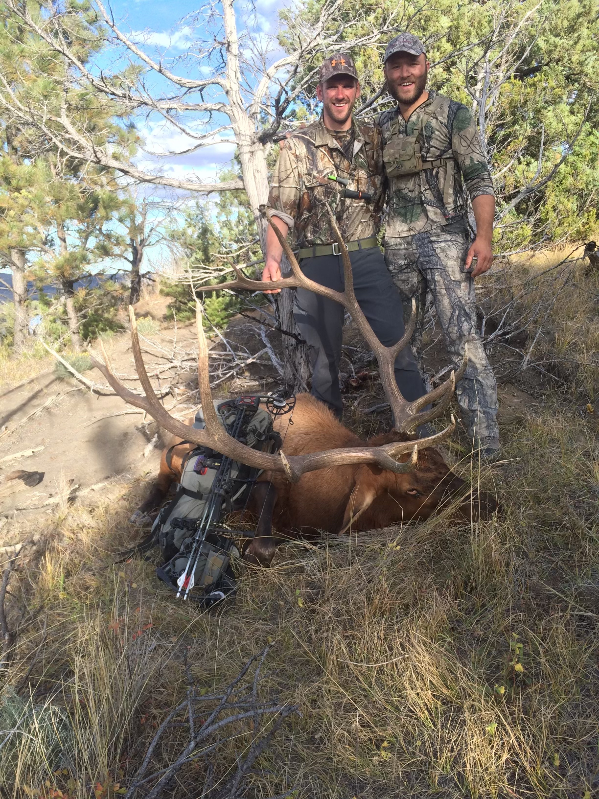 Scotts elk with ty.jpg